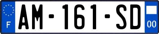 AM-161-SD