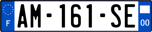 AM-161-SE