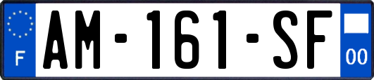 AM-161-SF