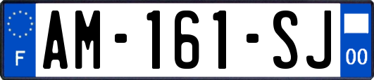 AM-161-SJ