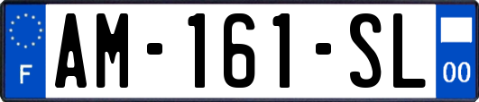 AM-161-SL