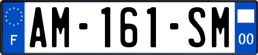 AM-161-SM