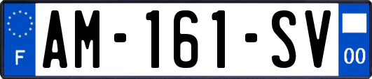 AM-161-SV