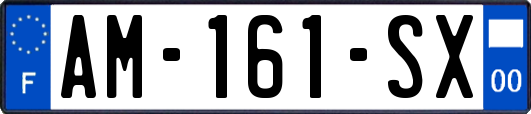 AM-161-SX