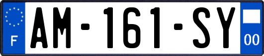 AM-161-SY
