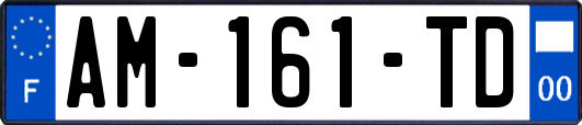 AM-161-TD