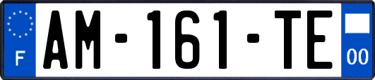AM-161-TE