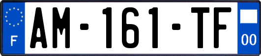 AM-161-TF