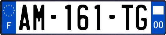 AM-161-TG
