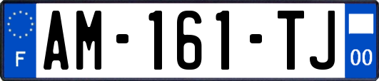 AM-161-TJ