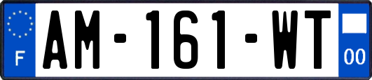 AM-161-WT