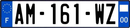 AM-161-WZ