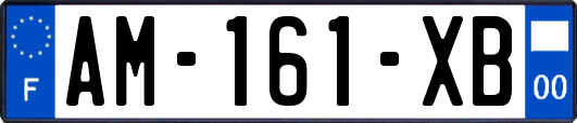 AM-161-XB