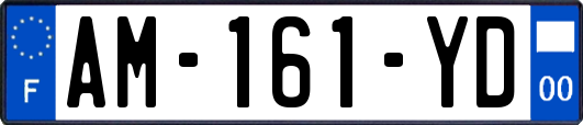 AM-161-YD