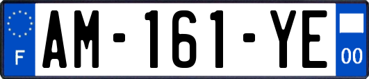 AM-161-YE