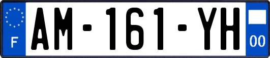 AM-161-YH