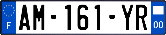 AM-161-YR
