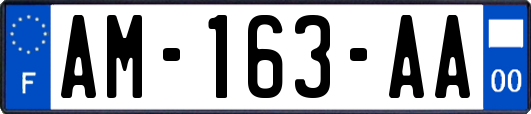 AM-163-AA