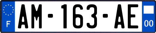 AM-163-AE