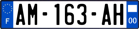 AM-163-AH