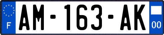 AM-163-AK