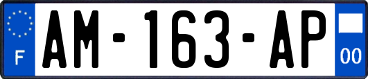 AM-163-AP