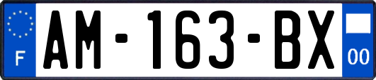 AM-163-BX