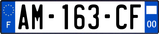 AM-163-CF