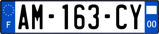 AM-163-CY