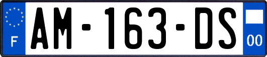 AM-163-DS