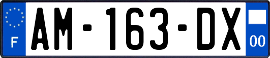AM-163-DX