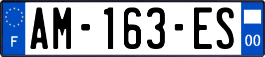 AM-163-ES