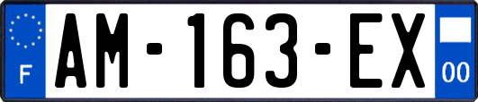 AM-163-EX