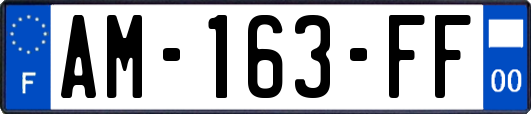 AM-163-FF