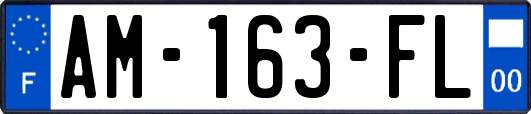 AM-163-FL