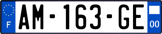 AM-163-GE