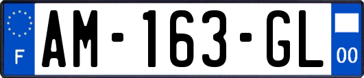 AM-163-GL