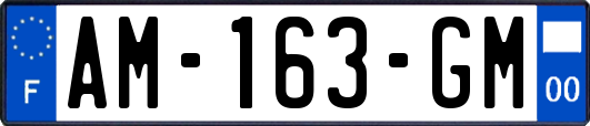 AM-163-GM