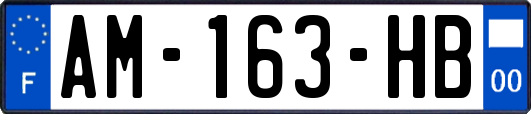 AM-163-HB