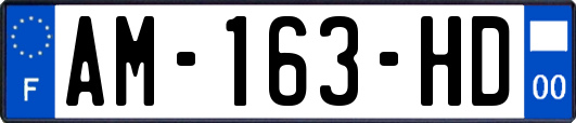 AM-163-HD