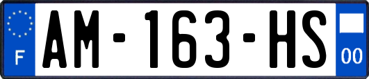 AM-163-HS