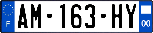 AM-163-HY