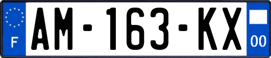 AM-163-KX