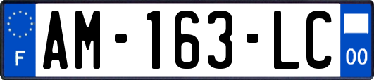 AM-163-LC