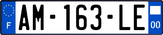 AM-163-LE