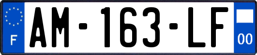AM-163-LF