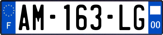 AM-163-LG