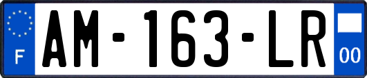 AM-163-LR