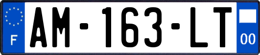AM-163-LT