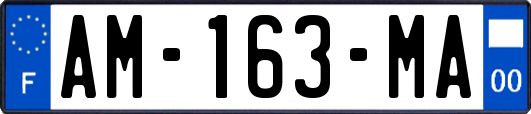 AM-163-MA